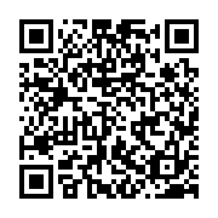 QR code for N0V 333
