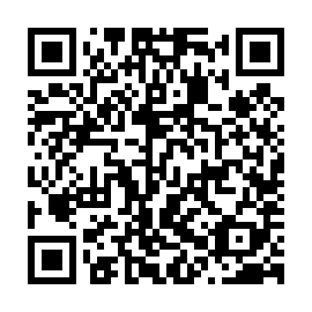 QR code for N0V 489