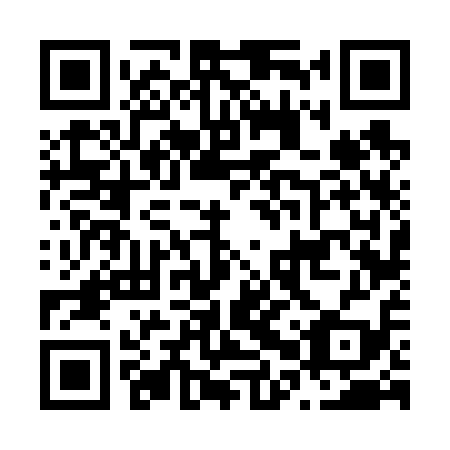 QR code for N0V 619