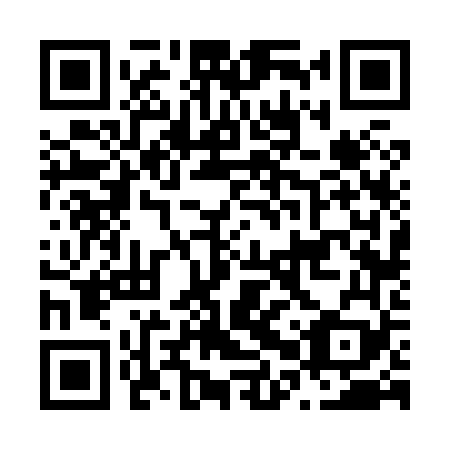 QR code for N0V 869