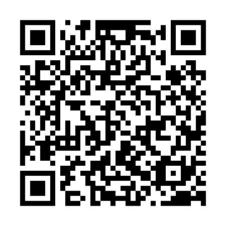 QR code for N0V271