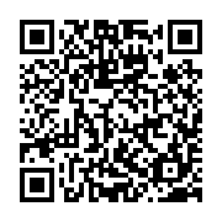 QR code for N0V294
