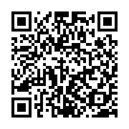 QR code for plate N0W 398