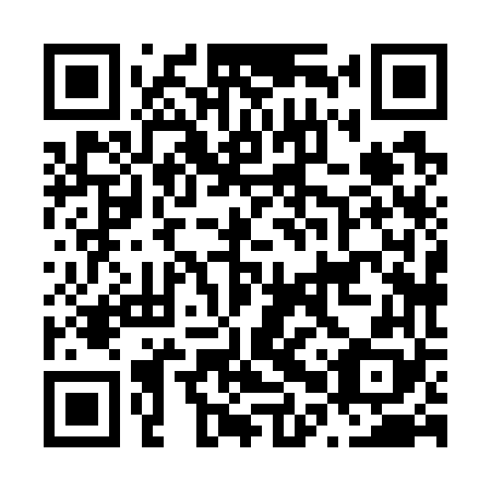 QR code for N0X 768
