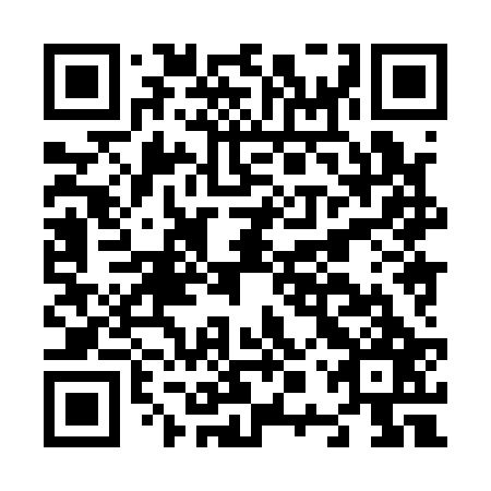 QR code for N0X127
