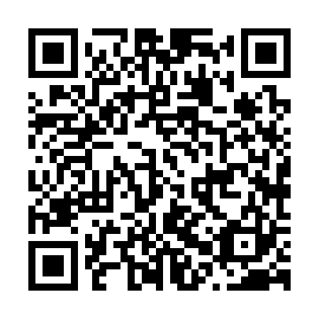 QR code for N0X323
