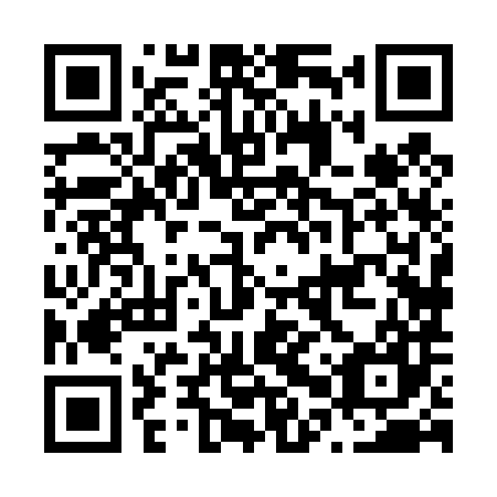 QR code for plate N0X 487