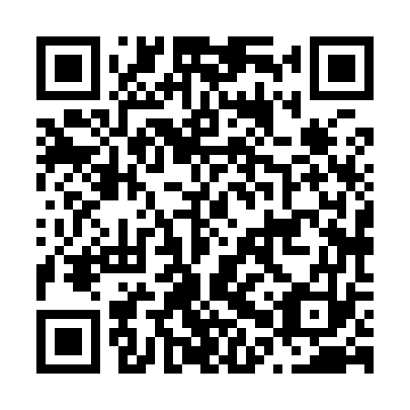 QR code for N0X973