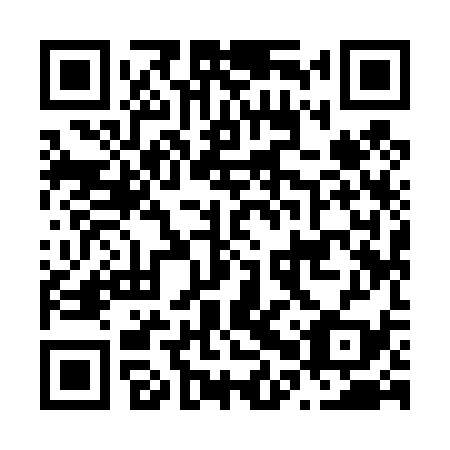 QR code for N0Y 439
