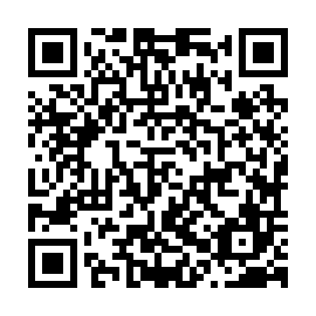 QR code for N0Z 206