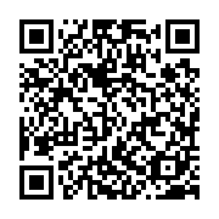 QR code for N0Z 701