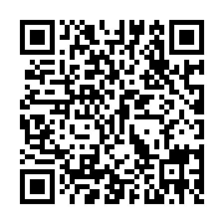 QR code for N0Z 919