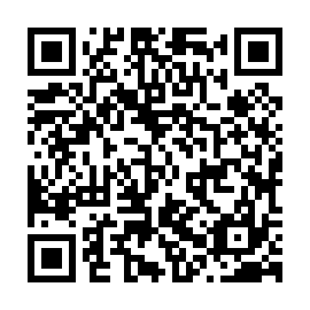 QR code for plate N0Z 037