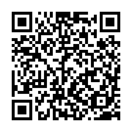 QR code for N0Z290