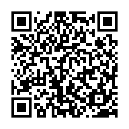 QR code for plate N0Z 334