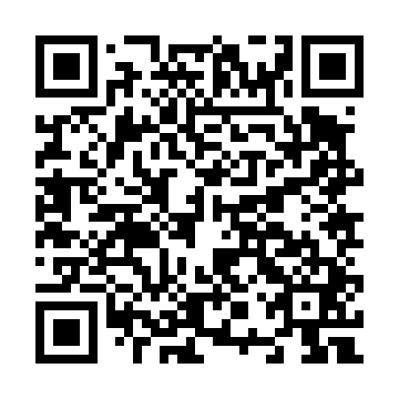 QR code for N0Z441
