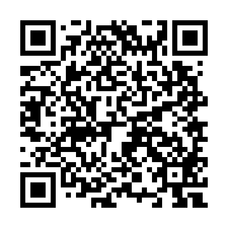 QR code for plate N0Z 789