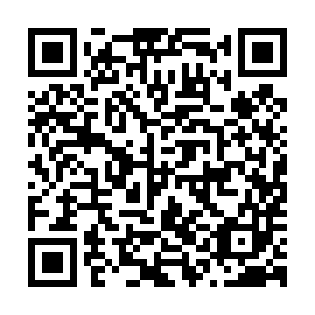 QR code for N1A 483