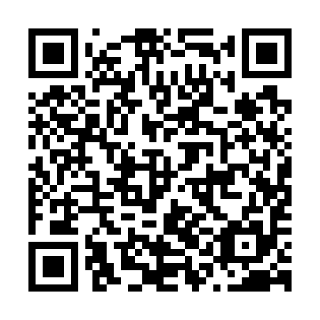 QR code for N1A 795