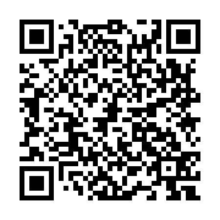 QR code for N1A 933