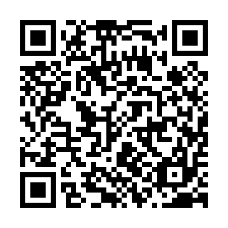 QR code for plate N1A 017