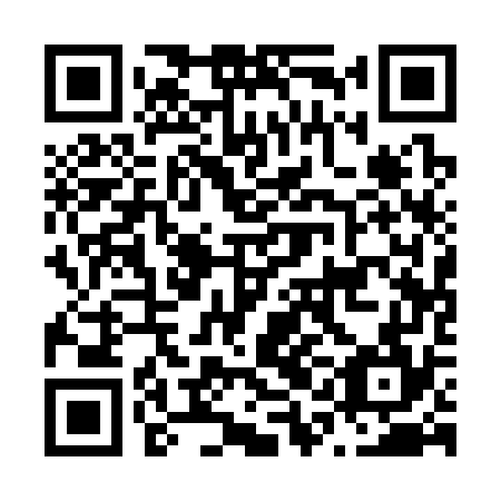 QR code for N1A374