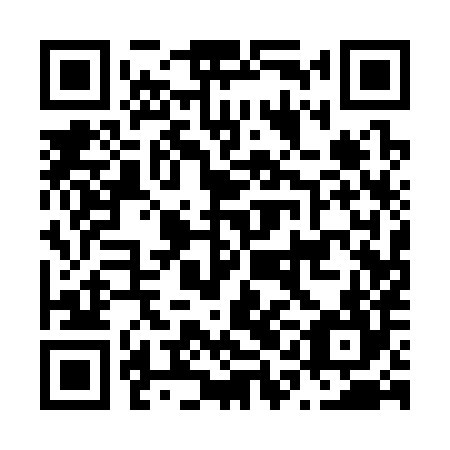 QR code for N1A384