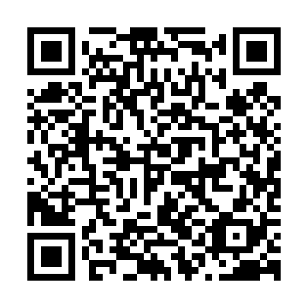 QR code for plate N1A 428