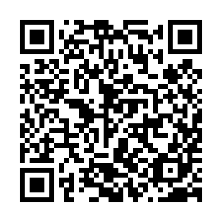 QR code for plate N1A 480