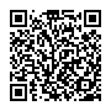QR code for plate N1A 498