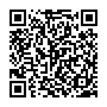 QR code for N1B 233