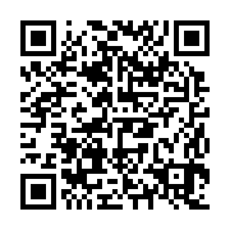 QR code for N1B 383