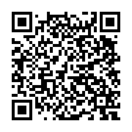 QR code for N1B 425