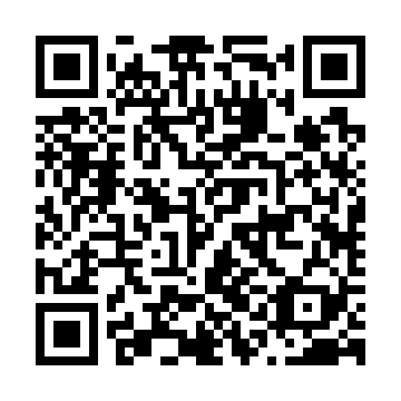 QR code for N1B 729