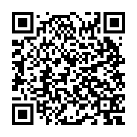 QR code for plate N1B 272