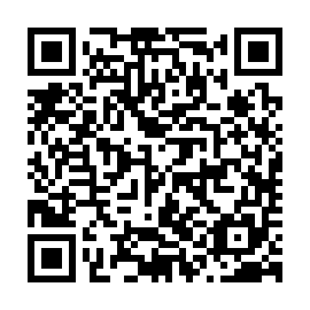 QR code for plate N1B 355