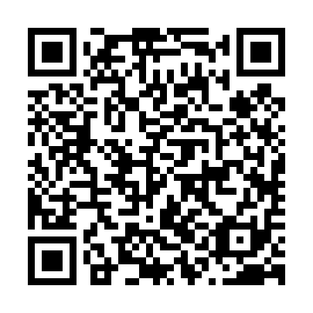 QR code for N1B411