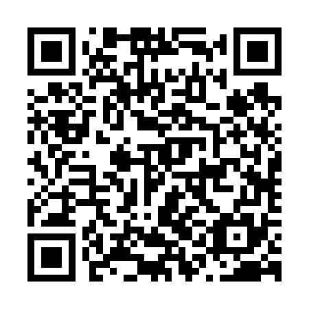 QR code for plate N1B 675