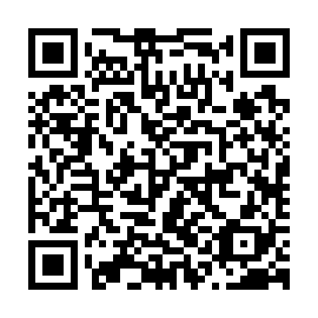 QR code for plate N1B 728
