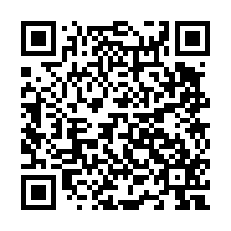 QR code for N1C 417