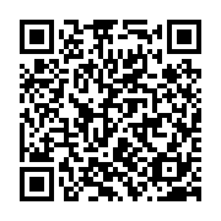 QR code for plate N1C 230