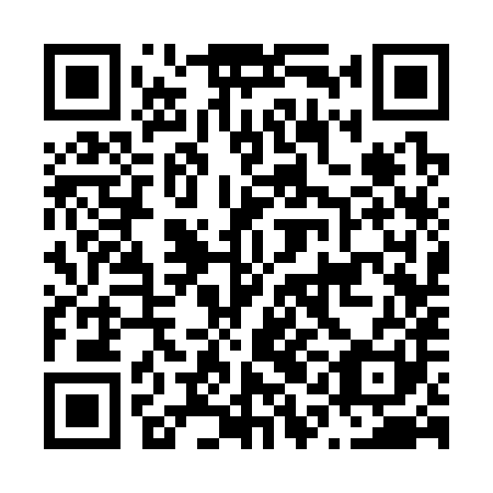 QR code for plate N1C 381