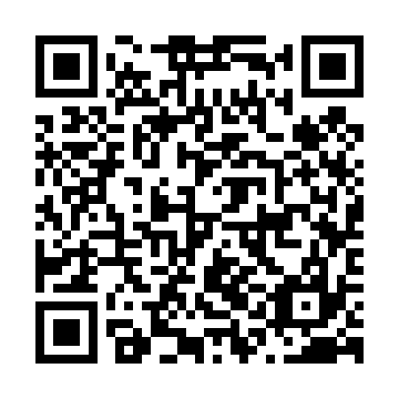 QR code for plate N1C 437