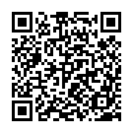 QR code for N1C462