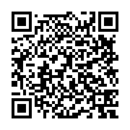 QR code for plate N1C 838