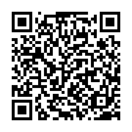 QR code for N1D 313