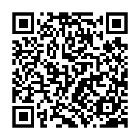 QR code for plate N1D 665