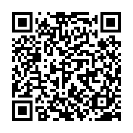 QR code for N1E 223