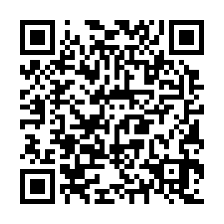 QR code for N1E 333