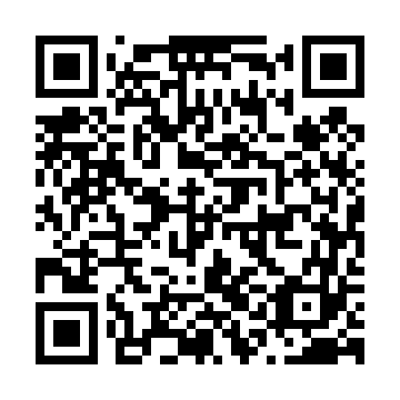 QR code for N1E 463